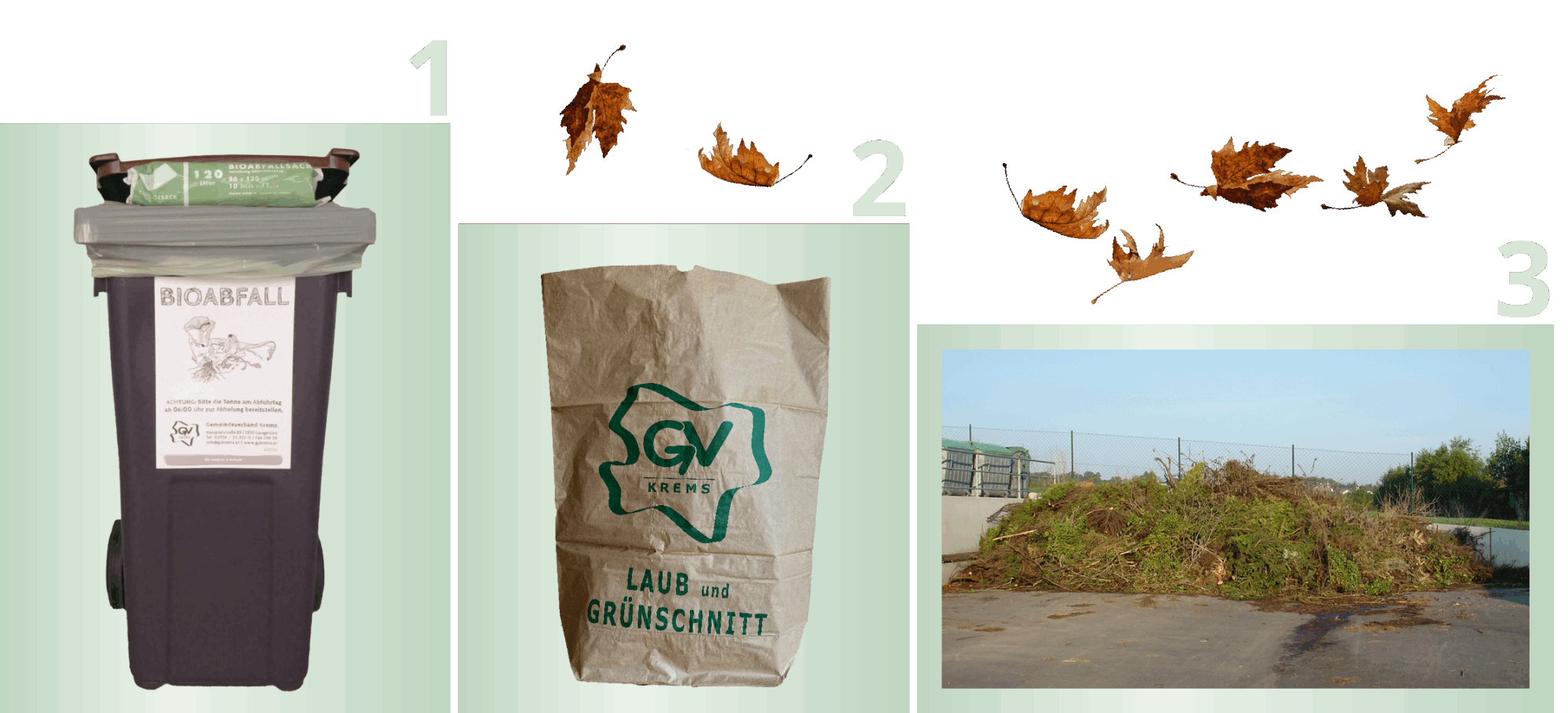3 Stufen dargesellt - Stufe 1 zeigt die Biotonne, Stufe 2 zeigt den Gr&uuml;nschnitt-Zusatzsack und Stufe 3 zeigt einen Strauchschnittplatz