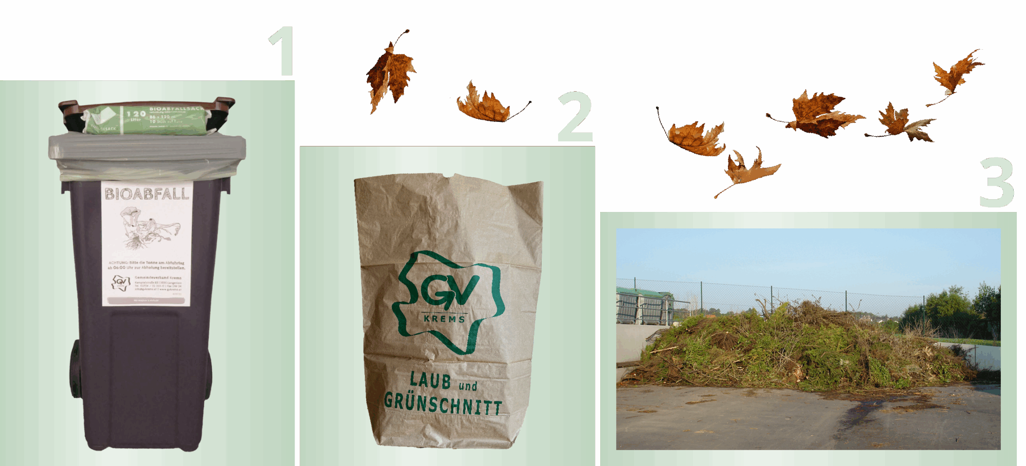 3 Stufen dargesellt - Stufe 1 zeigt die Biotonne, Stufe 2 zeigt den Grünschnitt-Zusatzsack und Stufe 3 zeigt einen Strauchschnittplatz